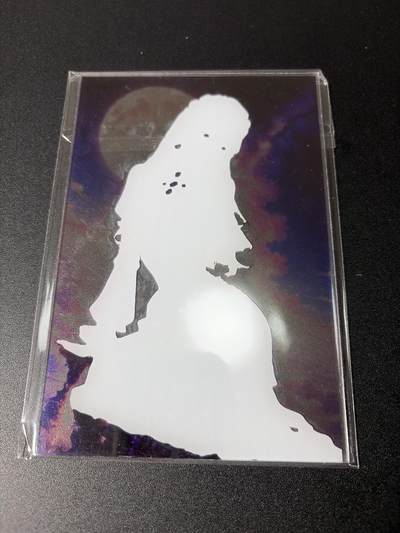 NO.31 好又多金牌大场，期期夯爆，每周必拍！要啥有啥，一站式配齐，方便凑单！（周6晚9点截拍，卖家送拍0抽成！） 海贼王 妮可罗宾 亚克力材质 高透 明信片尺寸