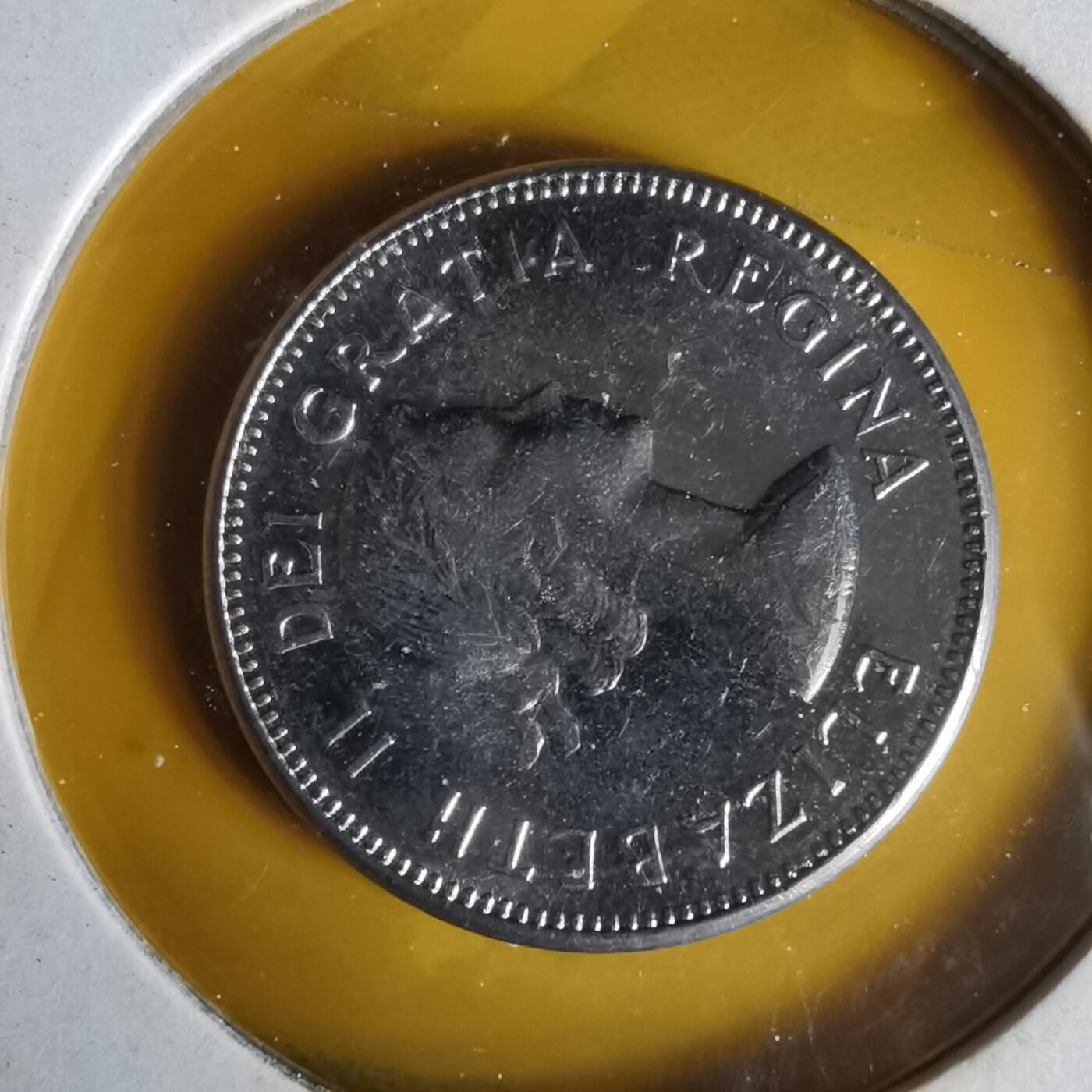 沼泽如烟--第1062场