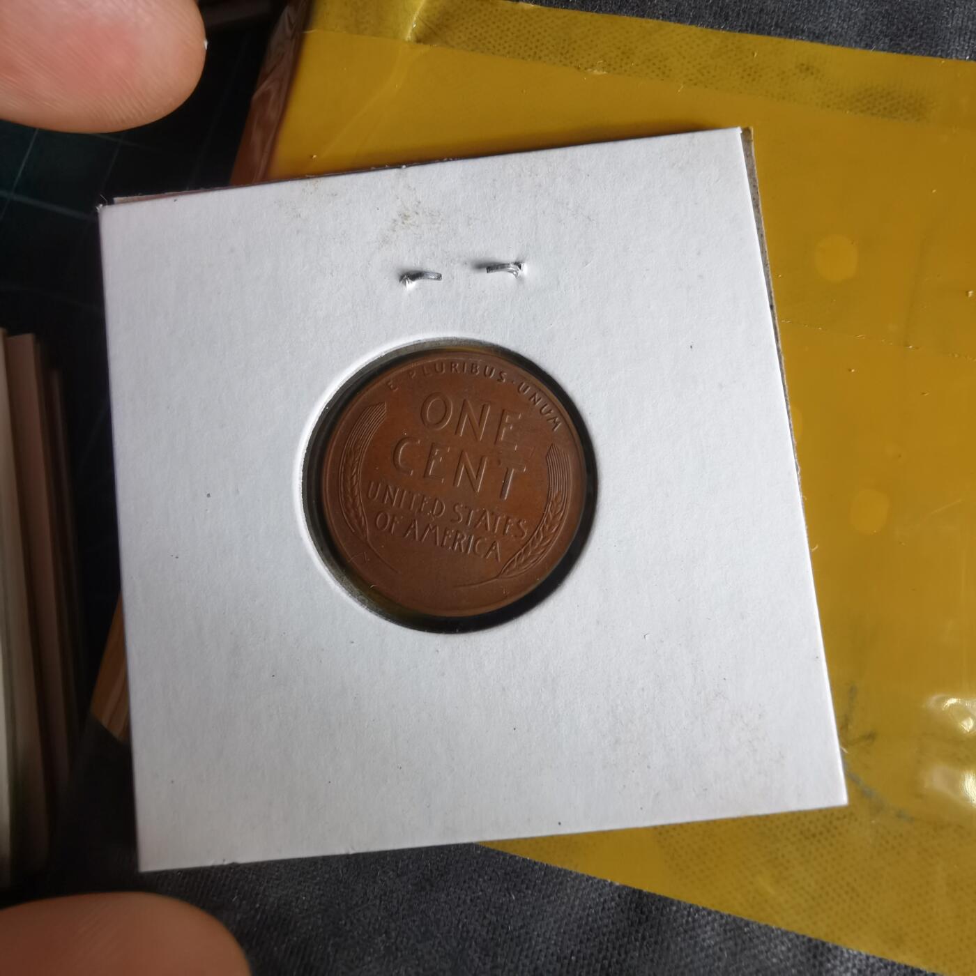 沼泽如烟--第1062场