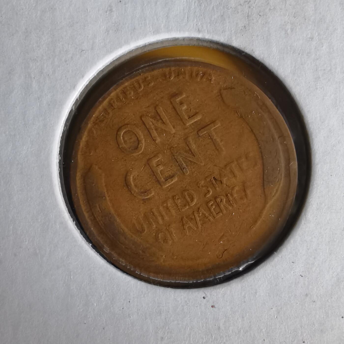 沼泽如烟--第1062场