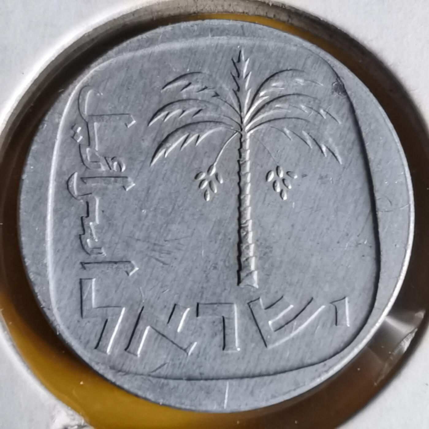 沼泽如烟--第1062场