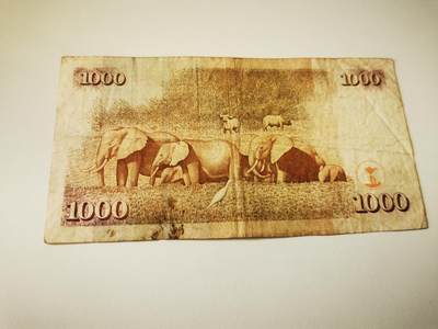 零零发流通品外国纸币拍卖 无佣金 肯尼亚1000 有裂口