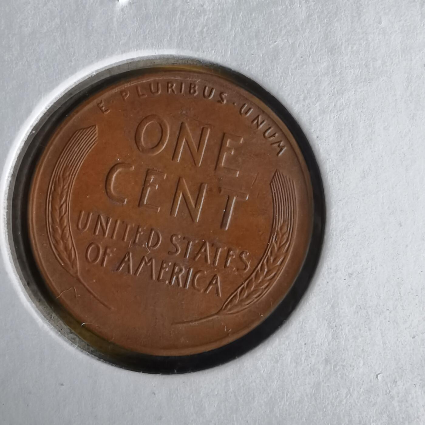 沼泽如烟--第1062场