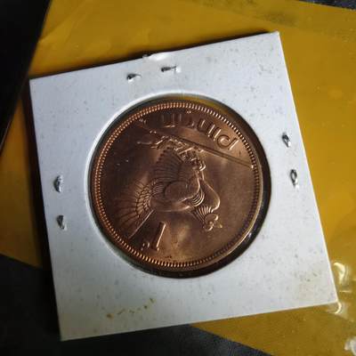 沼泽如烟--第1062场 爱尔兰1968年1便士