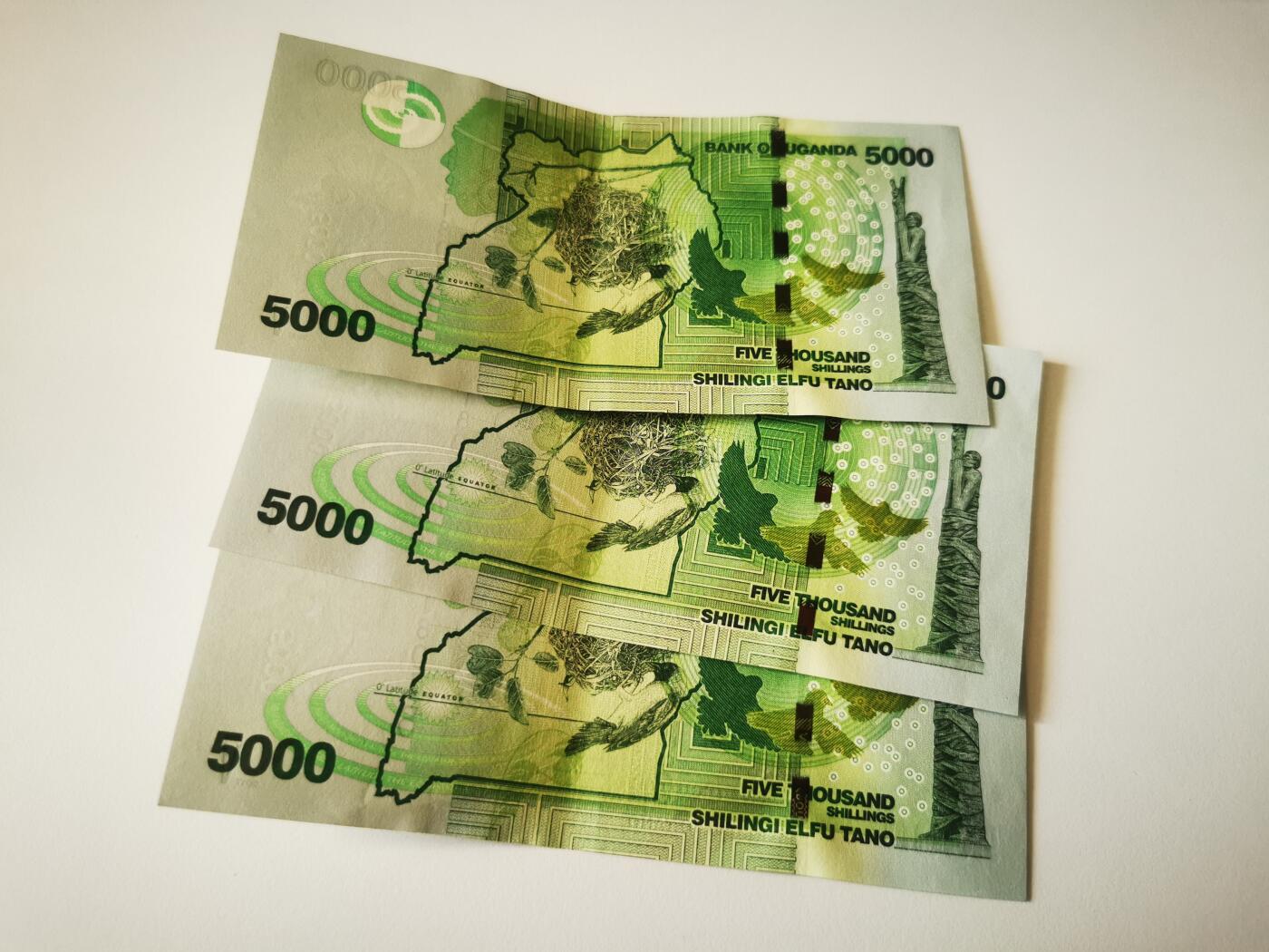 零零发流通品外国纸币拍卖 无佣金