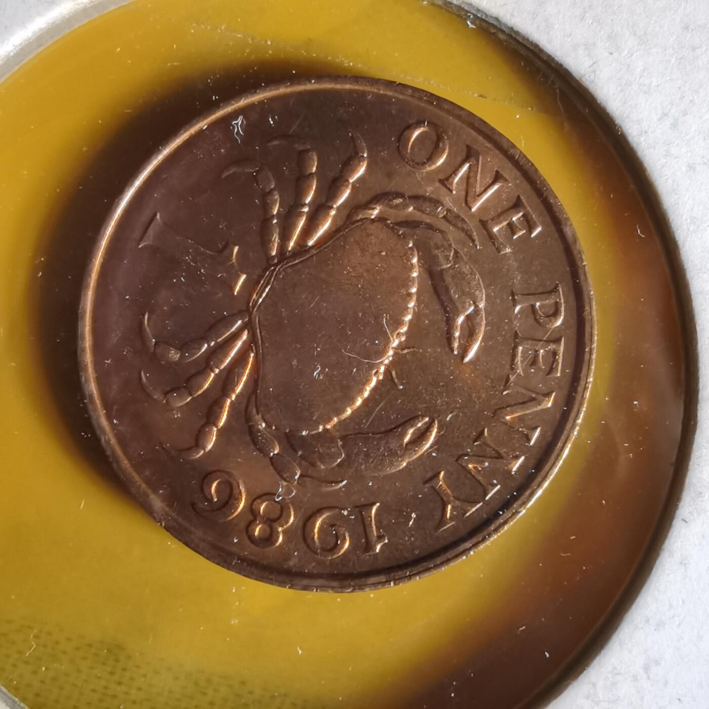 沼泽如烟--第1062场