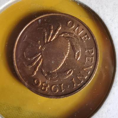 沼泽如烟--第1062场 - 根西1986年1便士