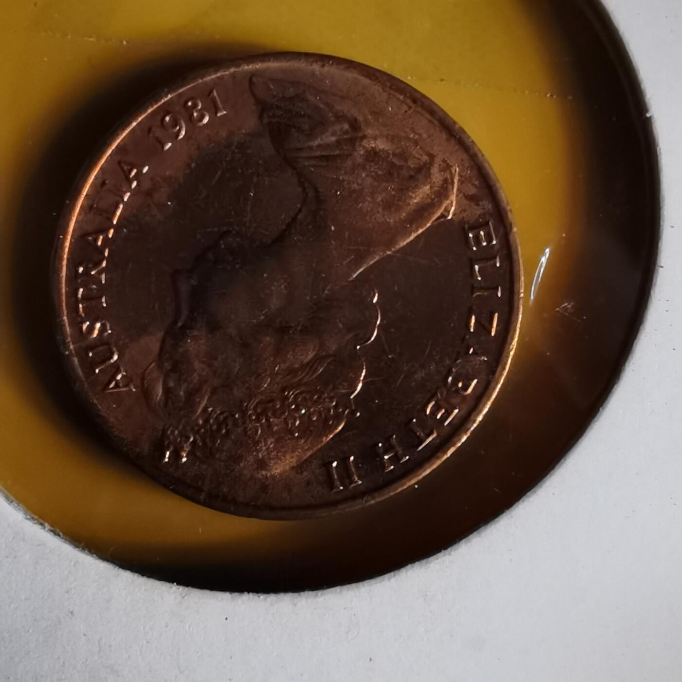 沼泽如烟--第1062场