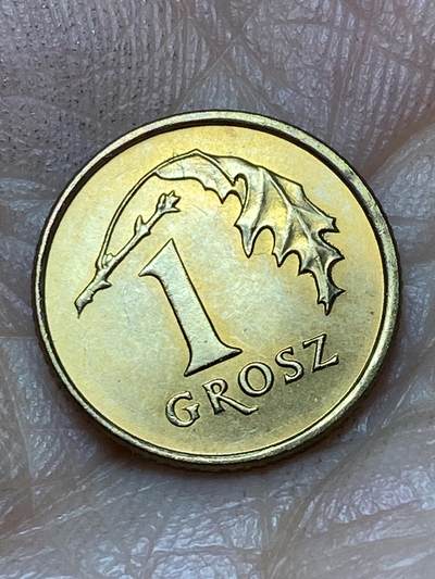 2026年第四十七场(总第二百一十六场）外国好品散币场(免佣金) 原光好品–波兰🇵🇱1992年1格罗希