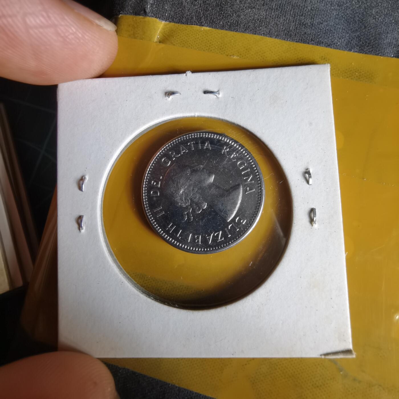 沼泽如烟--第1062场