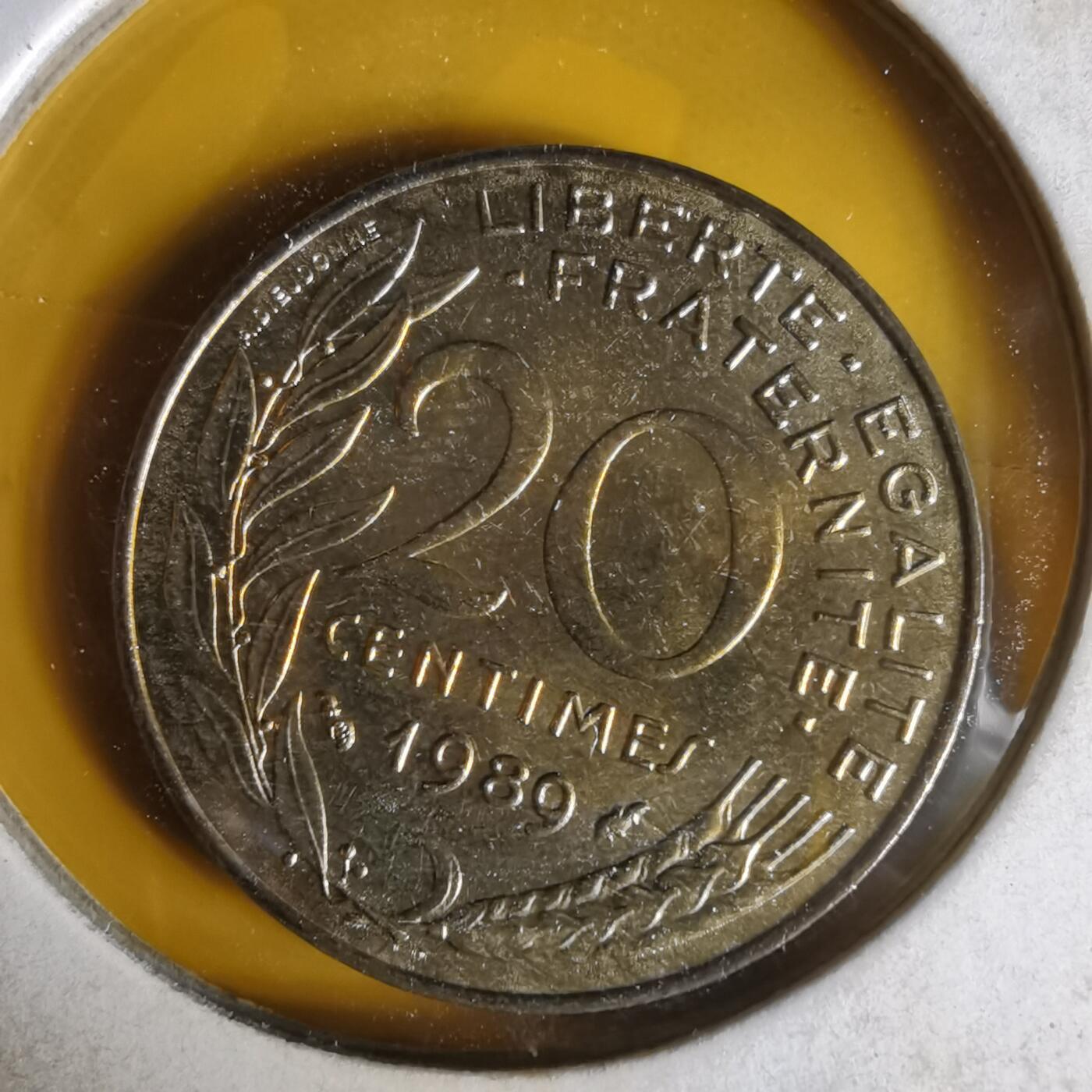 沼泽如烟--第1062场