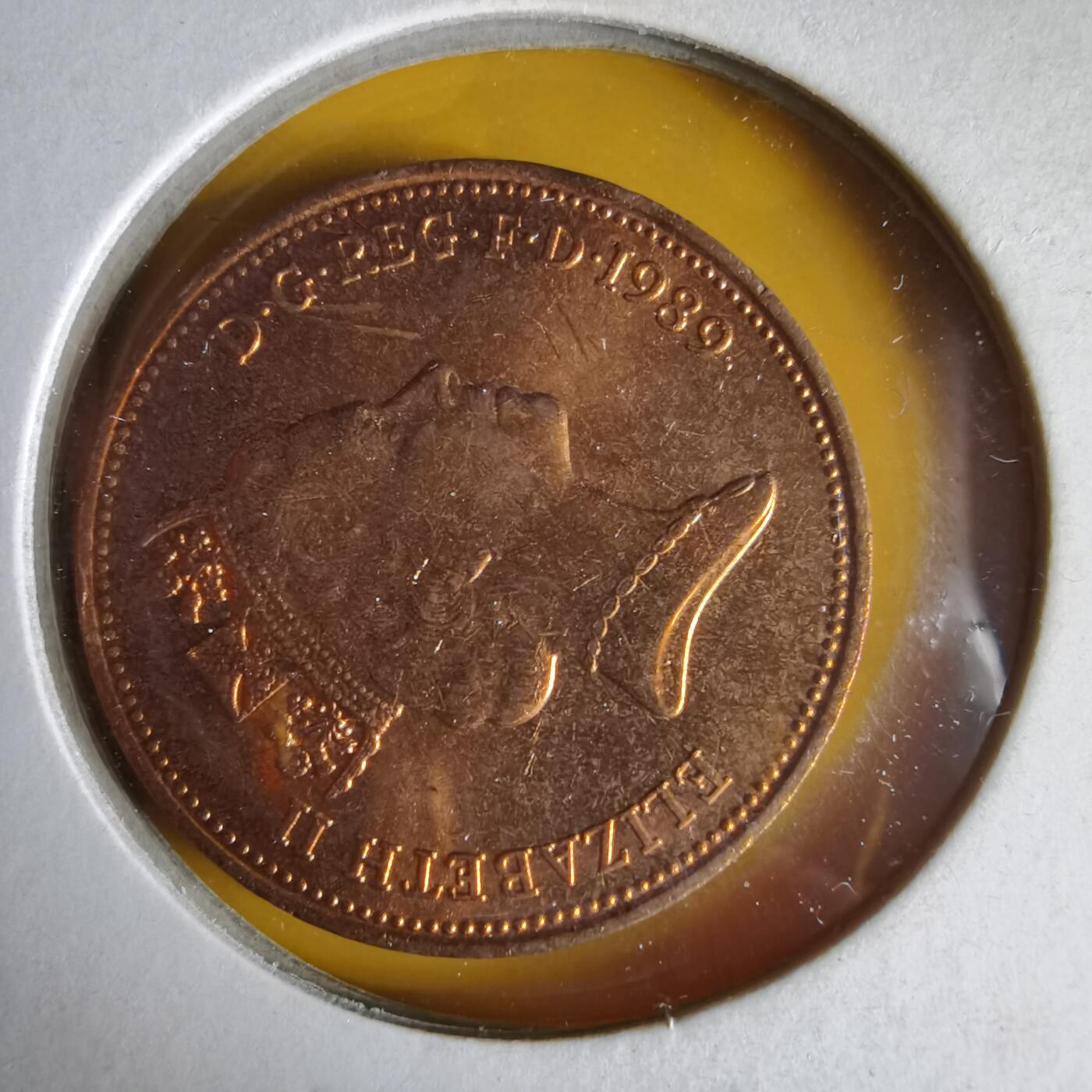 沼泽如烟--第1062场