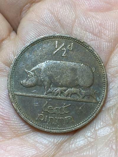 2026年第四十七场(总第二百一十六场）外国好品散币场(免佣金) 爱尔兰🇮🇪1965年1/2便士(共和国时期第一套)