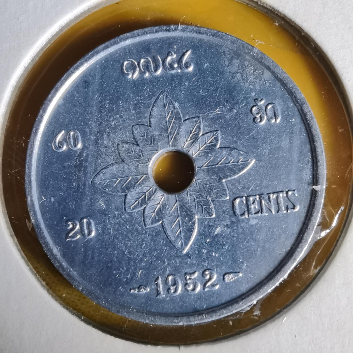 沼泽如烟--第1062场