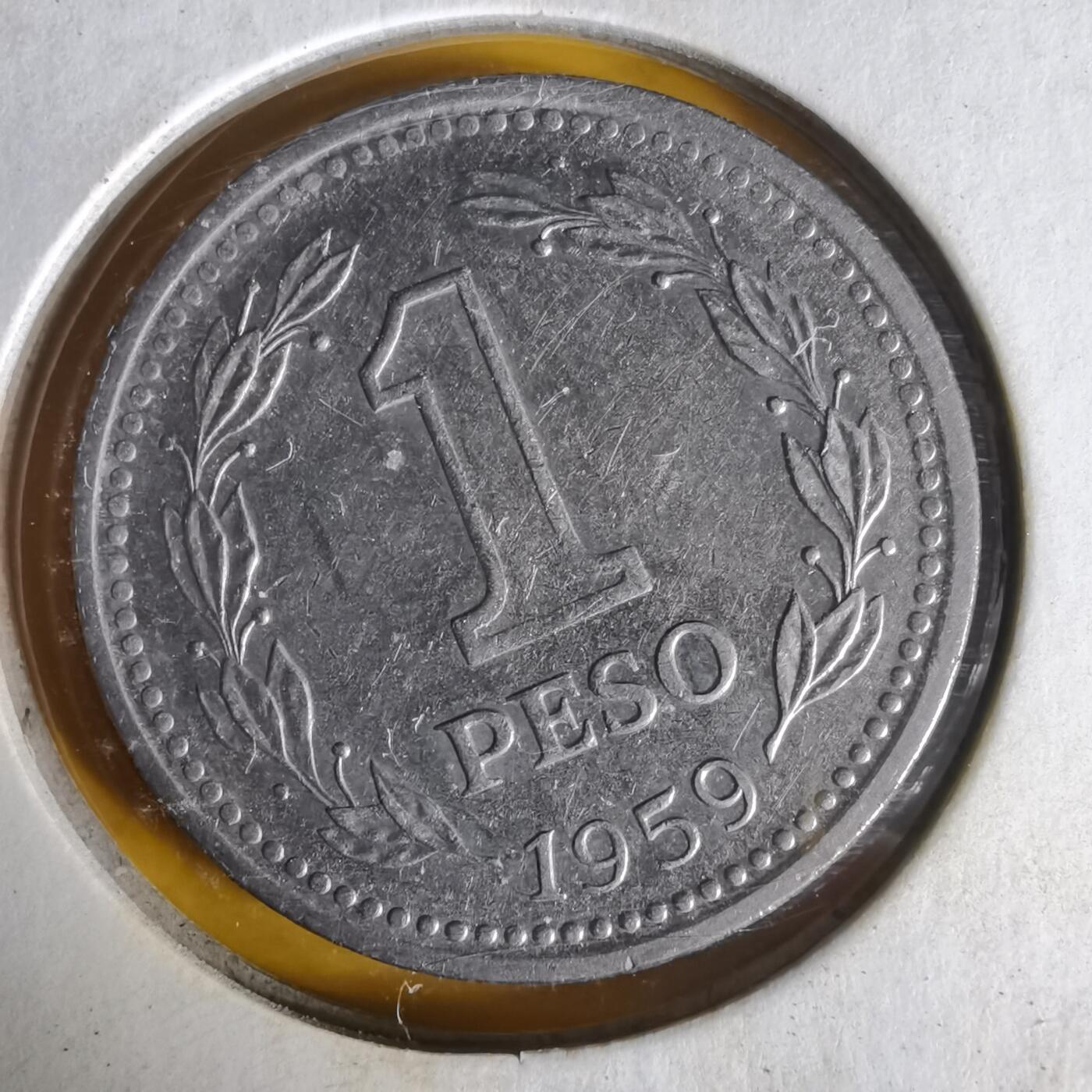 沼泽如烟--第1062场