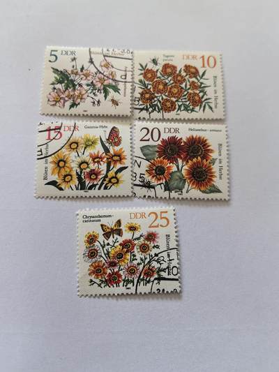 杂票 东德邮票 大力花5枚旧