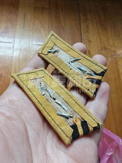 老徽章奖章勋章纪念章杂项专拍 五十年代苏联M55海军大尉铜星领章符号（鸽子重拍）