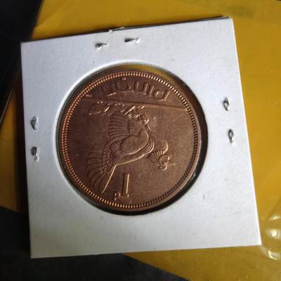 沼泽如烟--第1062场 爱尔兰1968年1便士