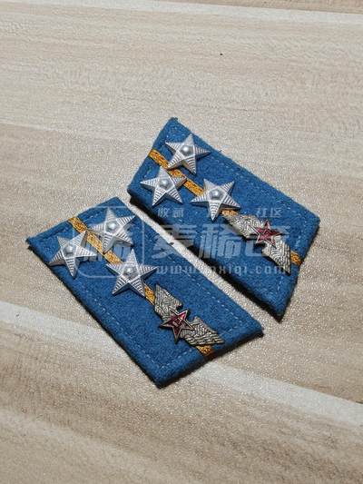 老徽章奖章勋章纪念章杂项专拍 五十年代苏联M55空军飞翅符号一堆（鸽子重拍）