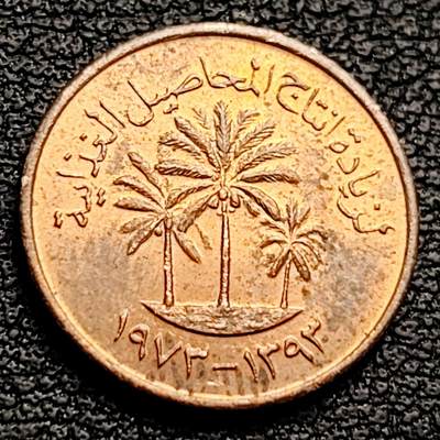 泉币菌-第230场-拍品多 请提前出价 铜光美品 FAO椰枣树 阿联酋19881费尔青铜币 袖珍币