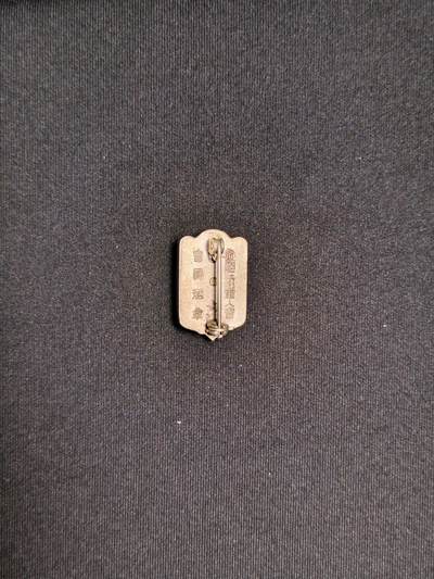 东亚欧洲主题杂货徽章勋章拍卖⑩ （五一大拍350+） 帝国在乡军人会会员章