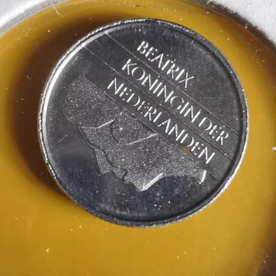 沼泽如烟--第1062场 荷兰1989年十分