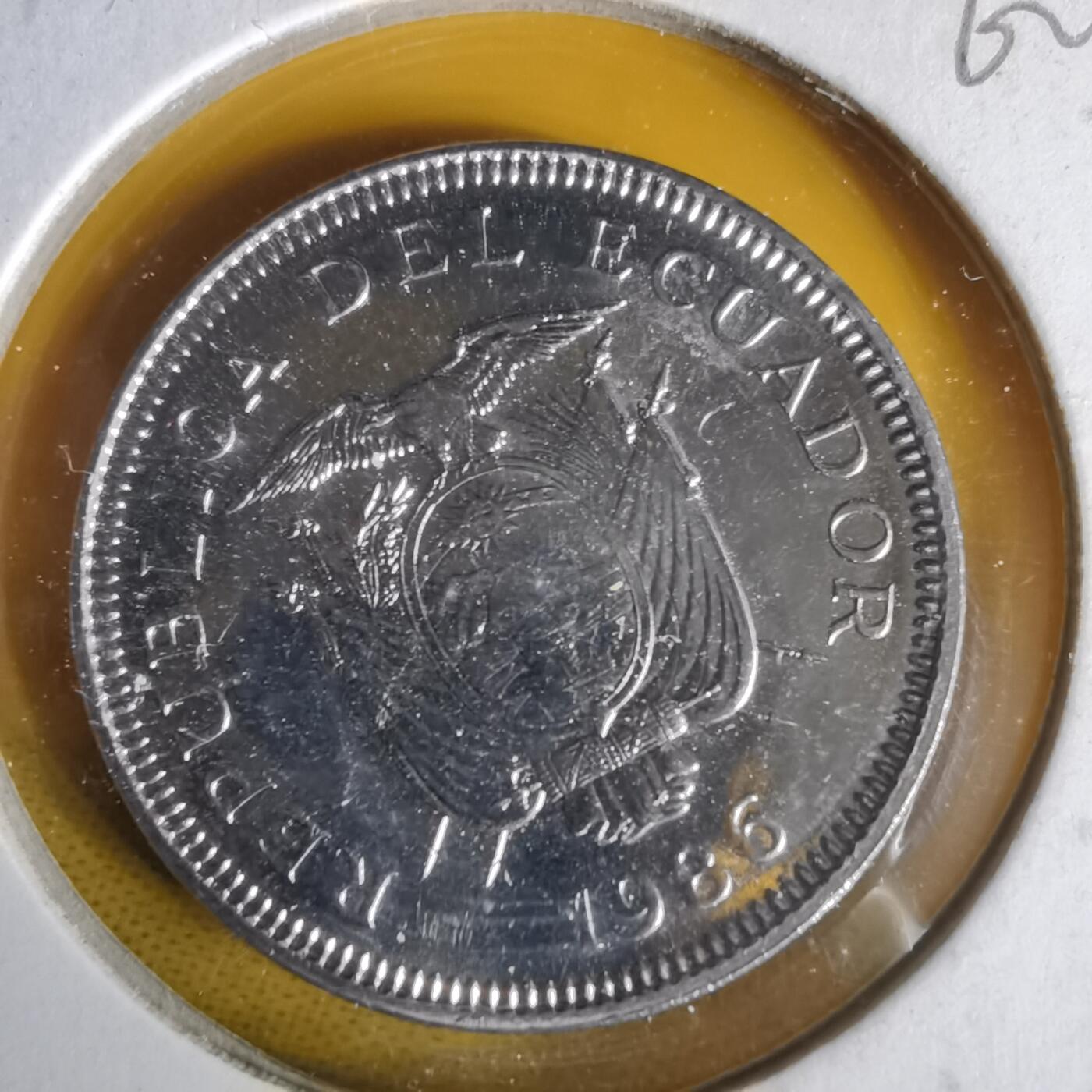 沼泽如烟--第1062场