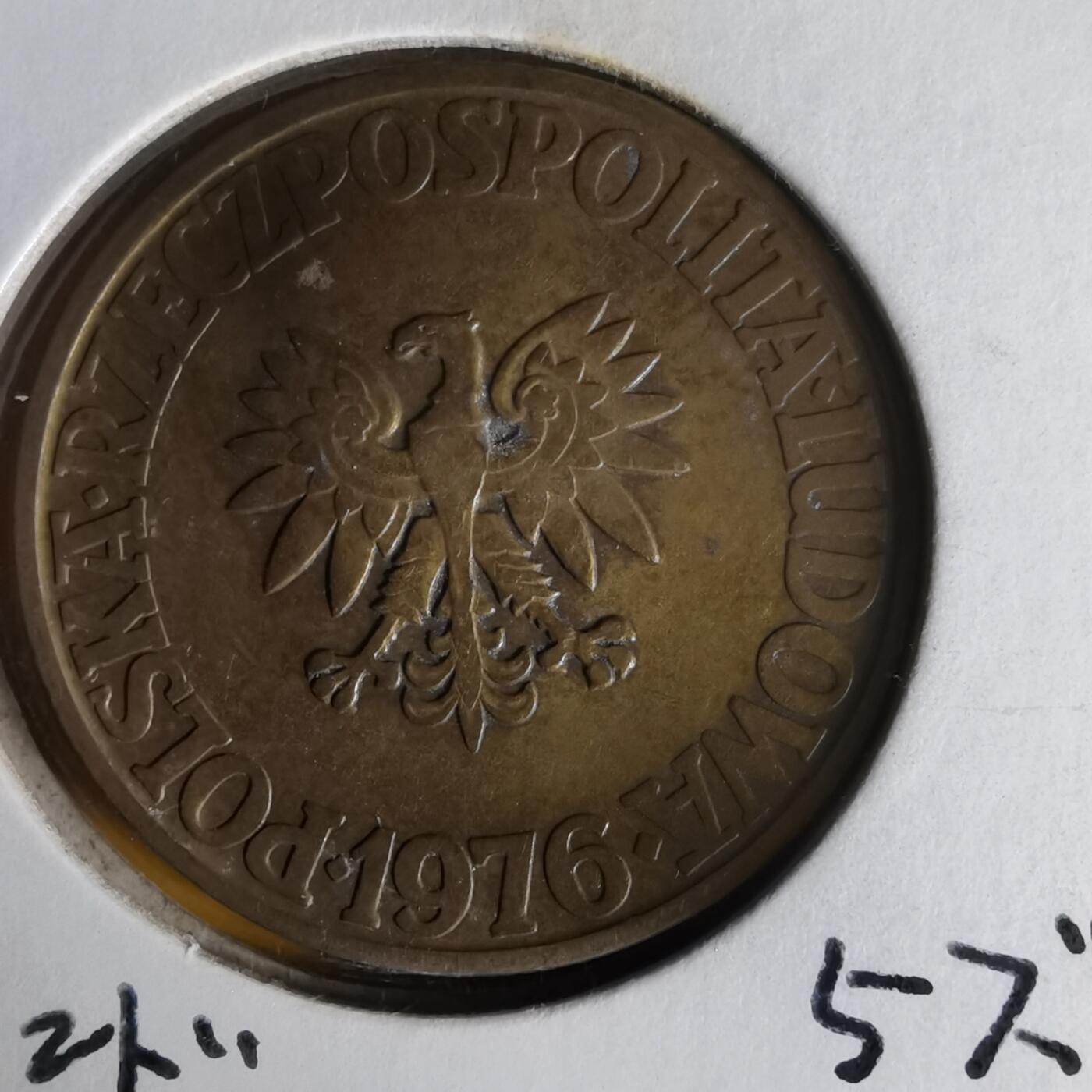 沼泽如烟--第1062场