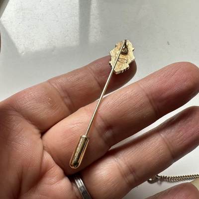 🌹外币初藏🌹🐯2026年第45场   每周二四六晚8️⃣点  世界硬币 AVON 复古星芒椭圆合金长针胸针