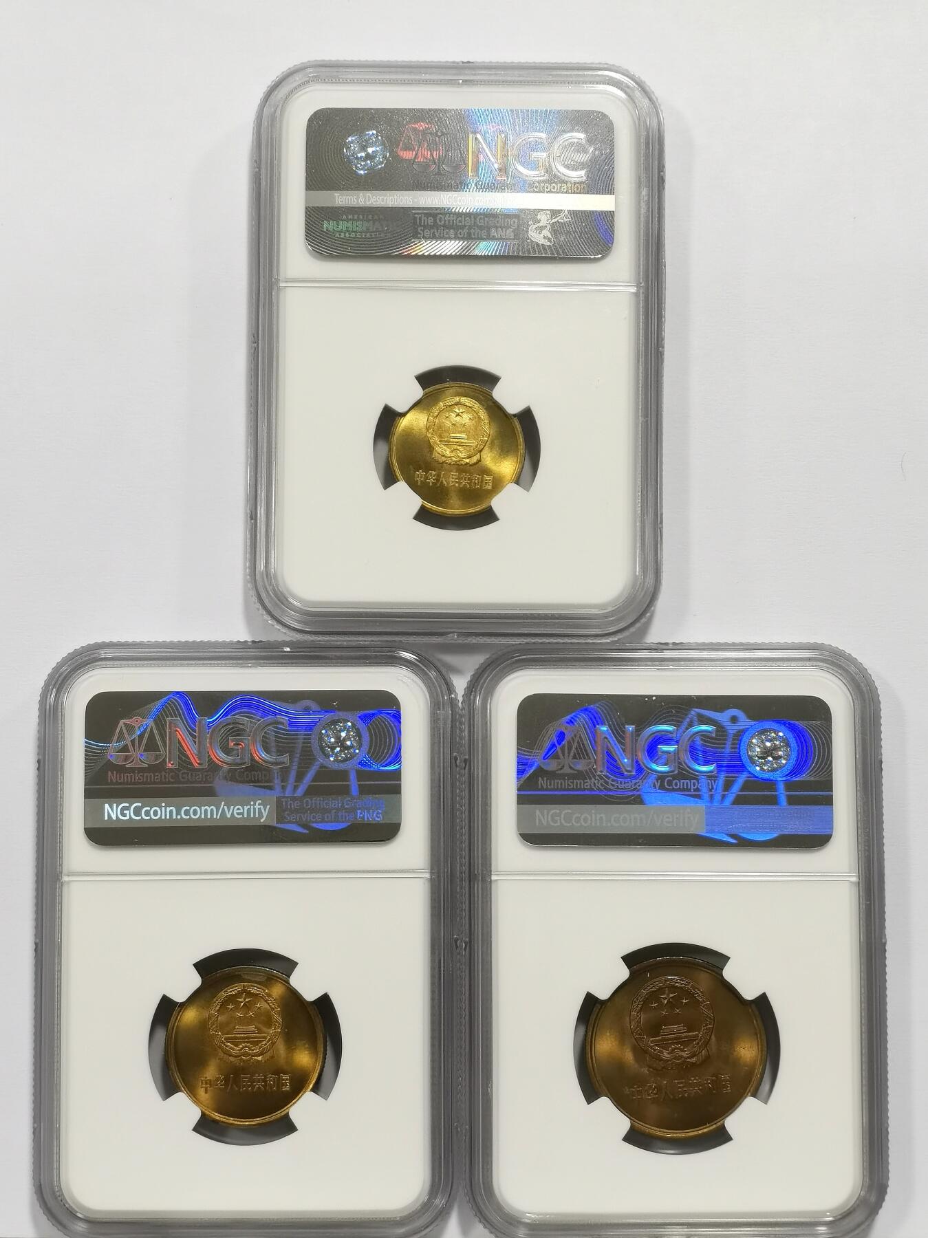 博洋堂“生趣盎然”4月精品专场暨第169期（全场包邮）