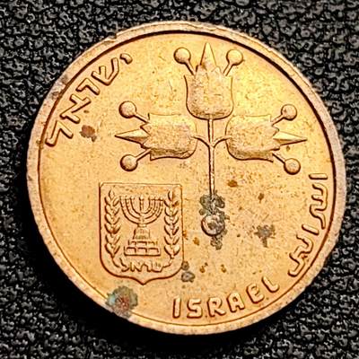 泉币菌-第230场-拍品多 请提前出价 以色列10新阿高洛, 1980-1984,袖珍币
