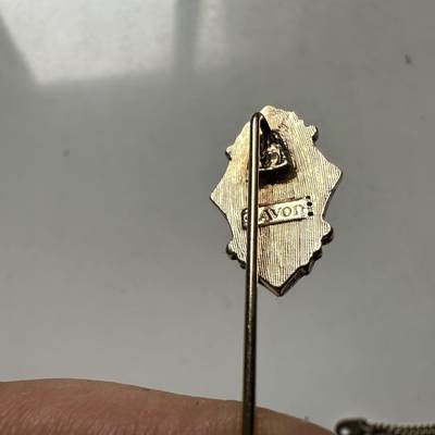 🌹外币初藏🌹🐯2026年第45场   每周二四六晚8️⃣点  世界硬币 AVON 复古星芒椭圆合金长针胸针