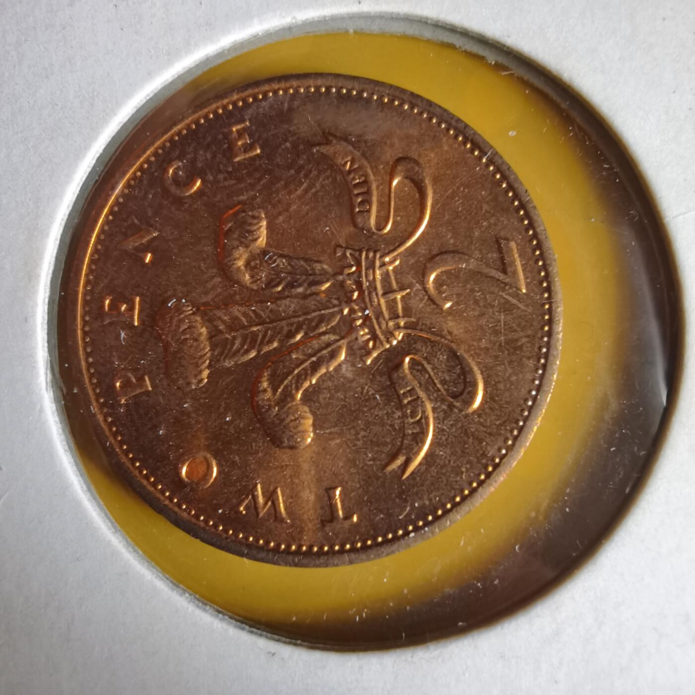 沼泽如烟--第1062场