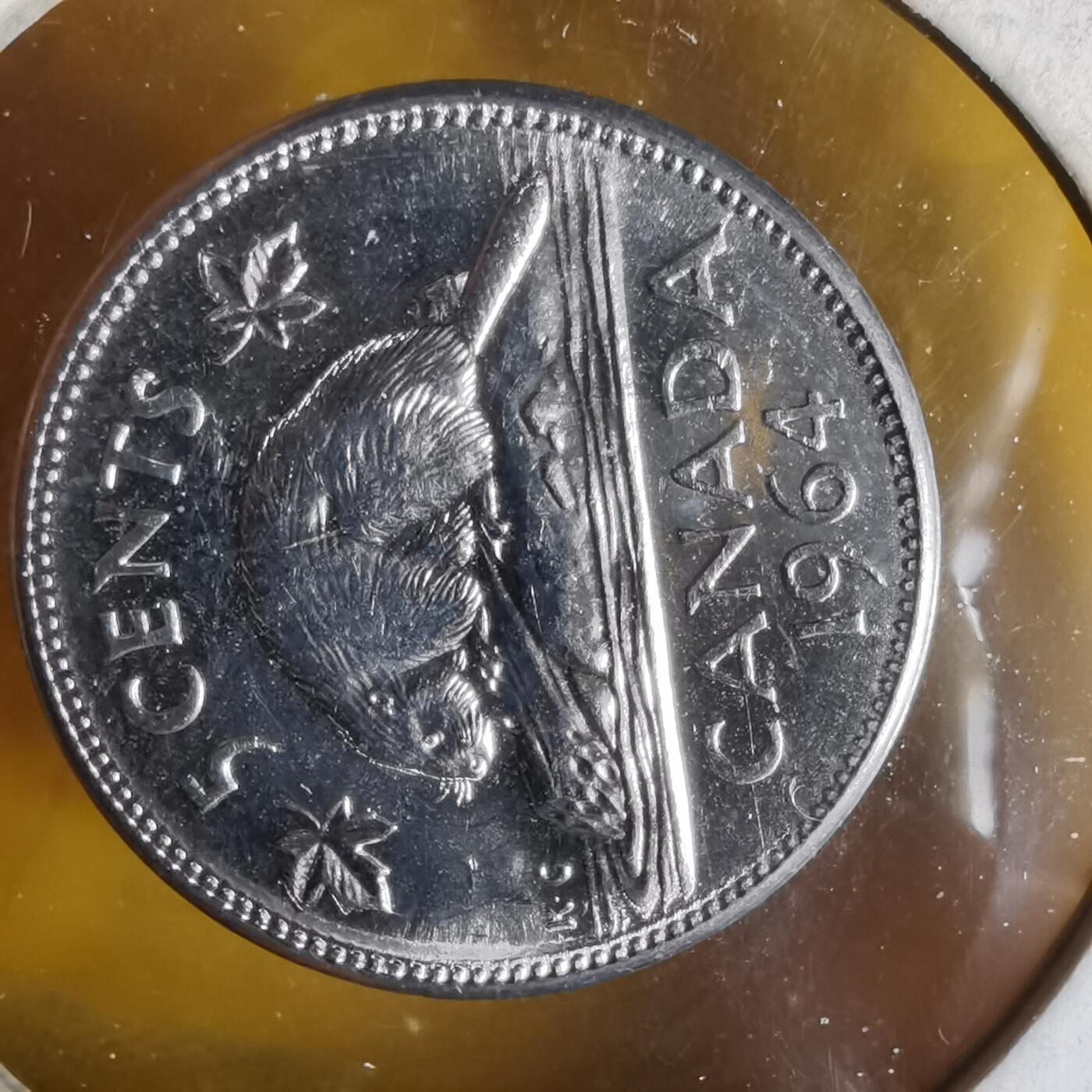 沼泽如烟--第1062场