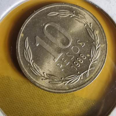 沼泽如烟--第1062场 智利1988年10比索