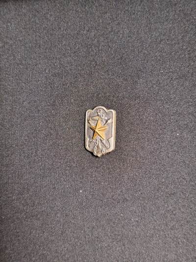 东亚欧洲主题杂货徽章勋章拍卖⑩ （五一大拍350+） 帝国在乡军人会会员章