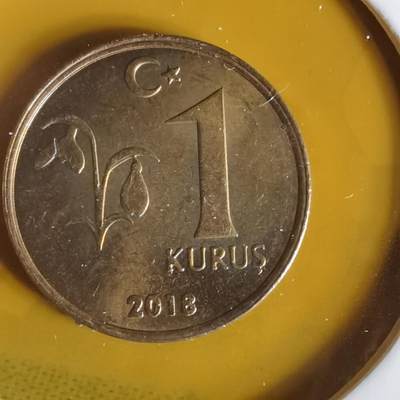 沼泽如烟--第1063场 - 土耳其2018年1库鲁