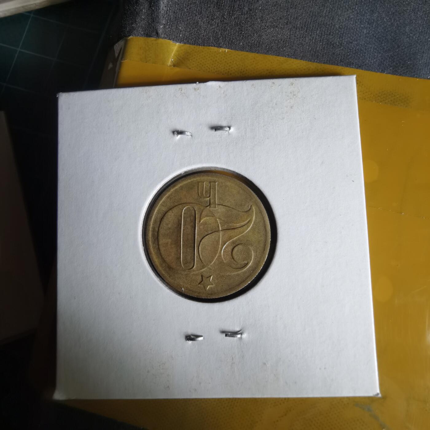 沼泽如烟--第1062场