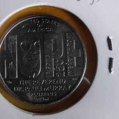 沼泽如烟--第1063场 - 美国2024年25分纪念币