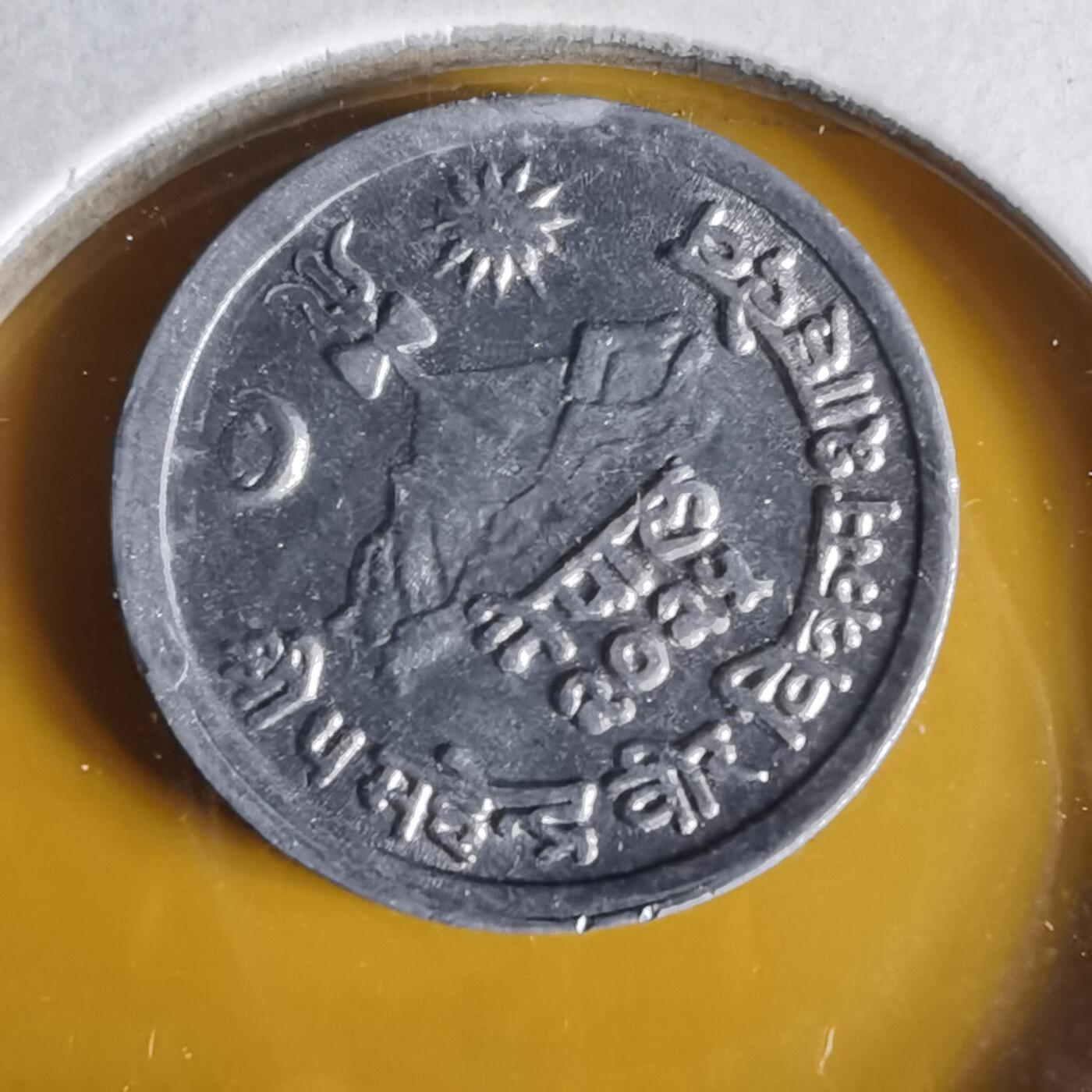 沼泽如烟--第1062场