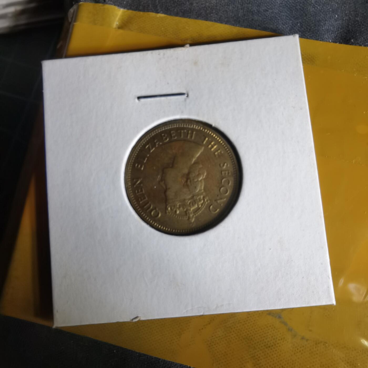 沼泽如烟--第1062场