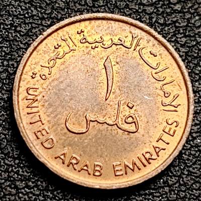 泉币菌-第230场-拍品多 请提前出价 铜光美品 FAO椰枣树 阿联酋19881费尔青铜币 袖珍币