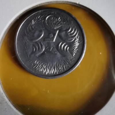 沼泽如烟--第1062场 澳大利亚1981年五分