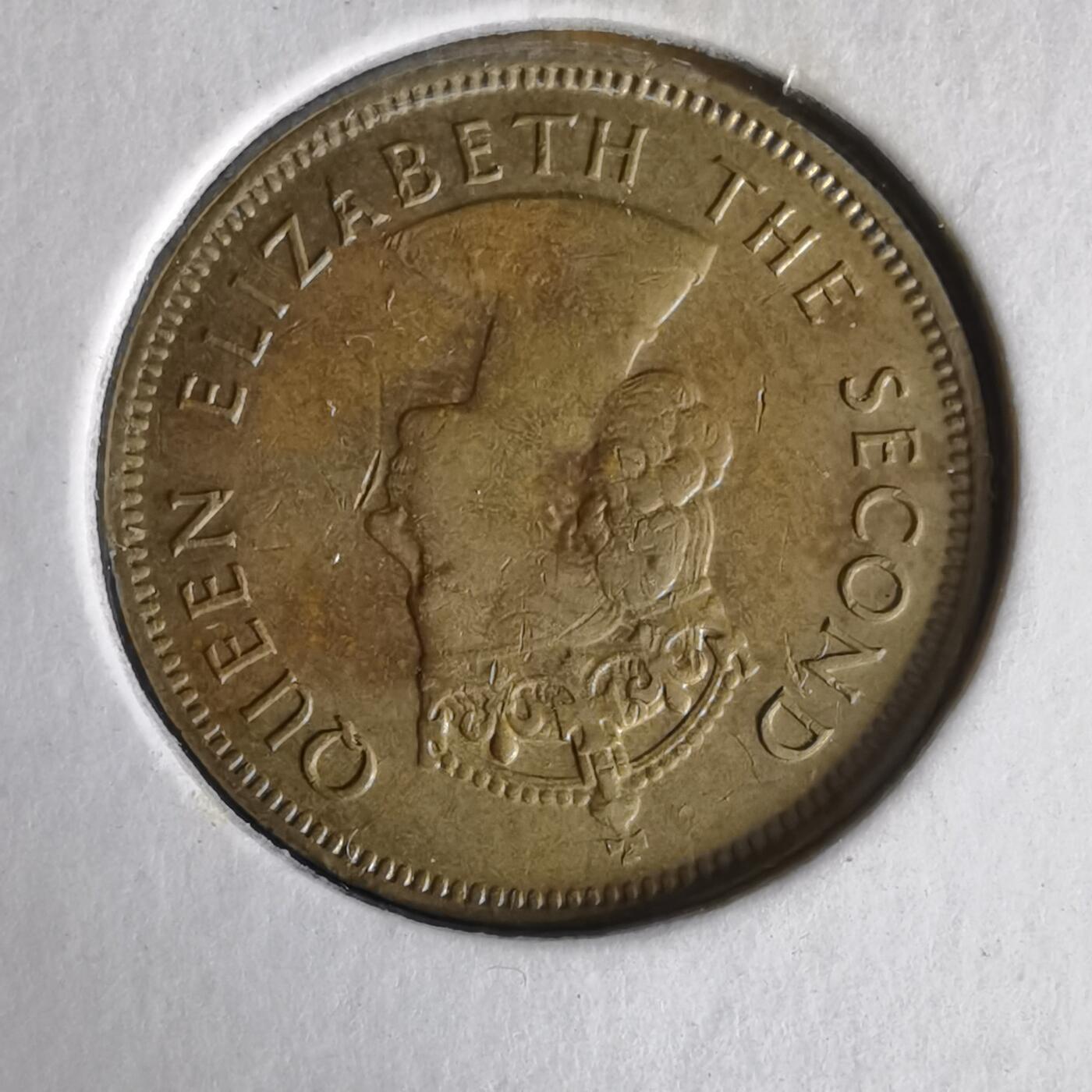 沼泽如烟--第1062场