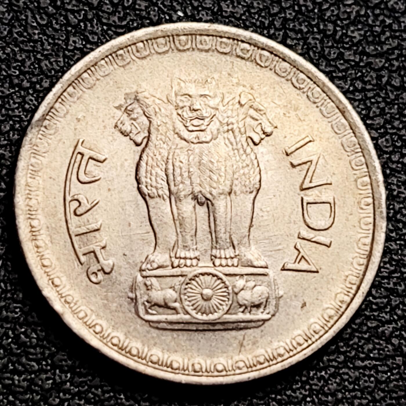 泉币菌-第230场-拍品多 请提前出价