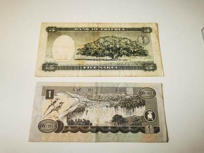 零零发流通品外国纸币拍卖 无佣金 厄立特里亚和埃塞俄比亚