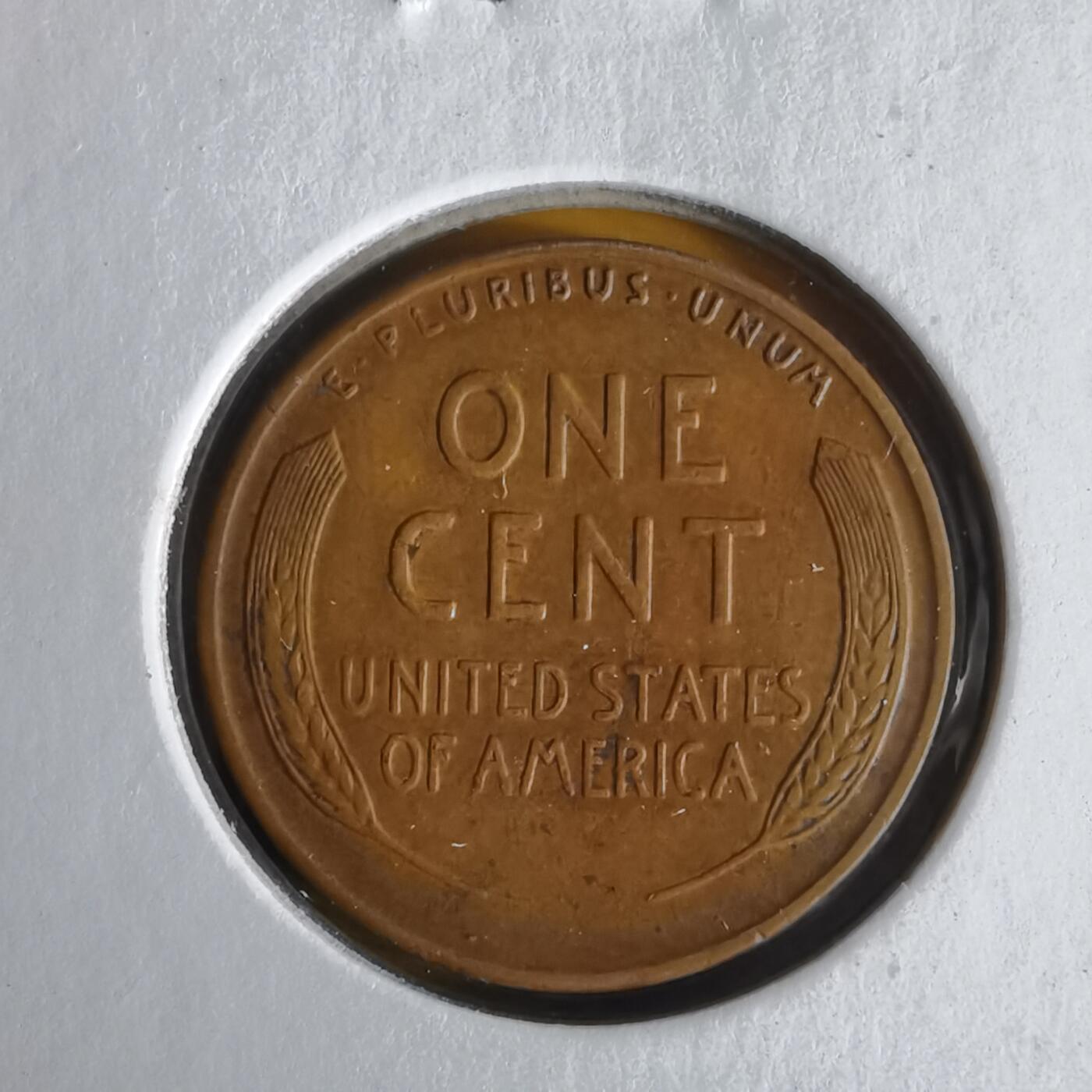 沼泽如烟--第1062场