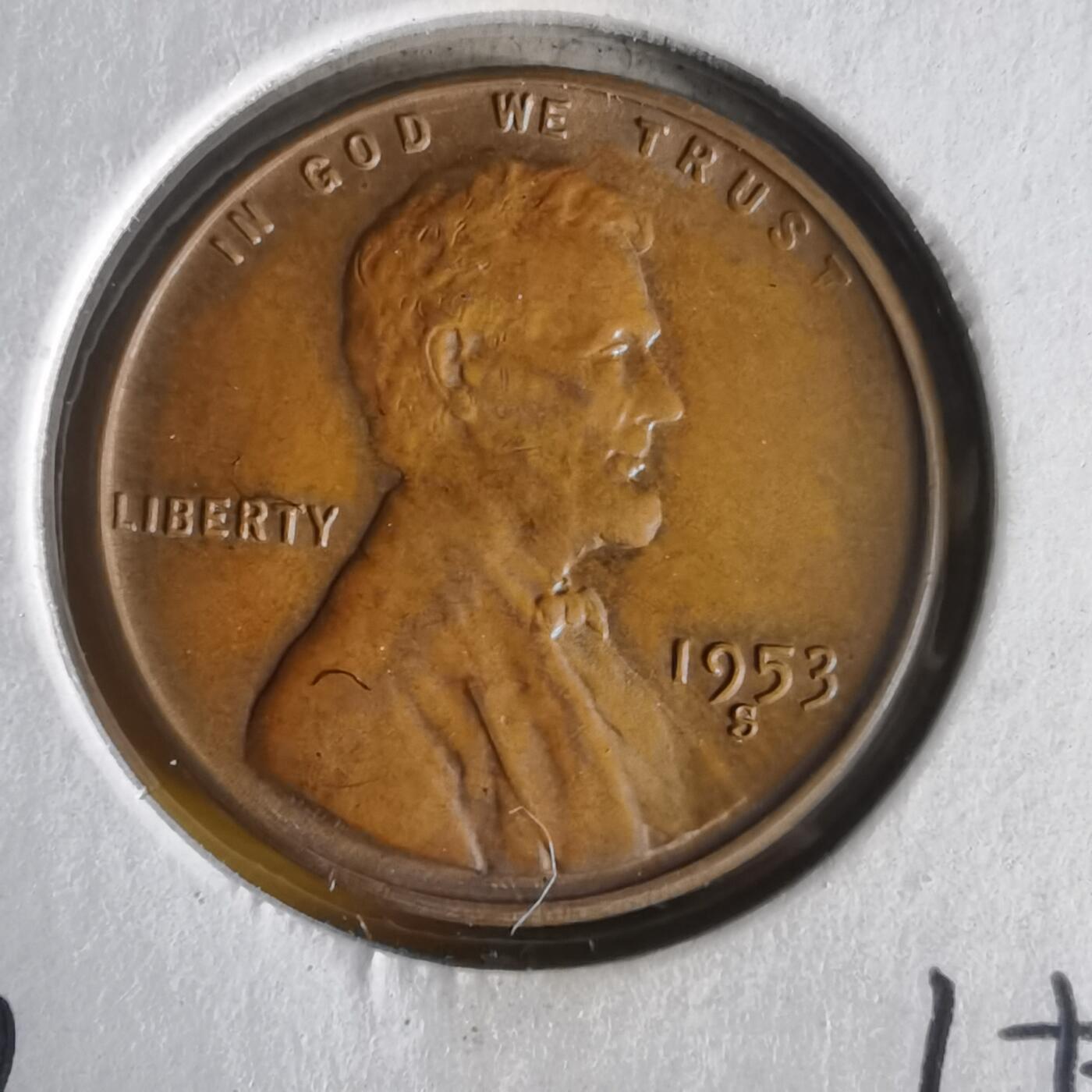 沼泽如烟--第1062场