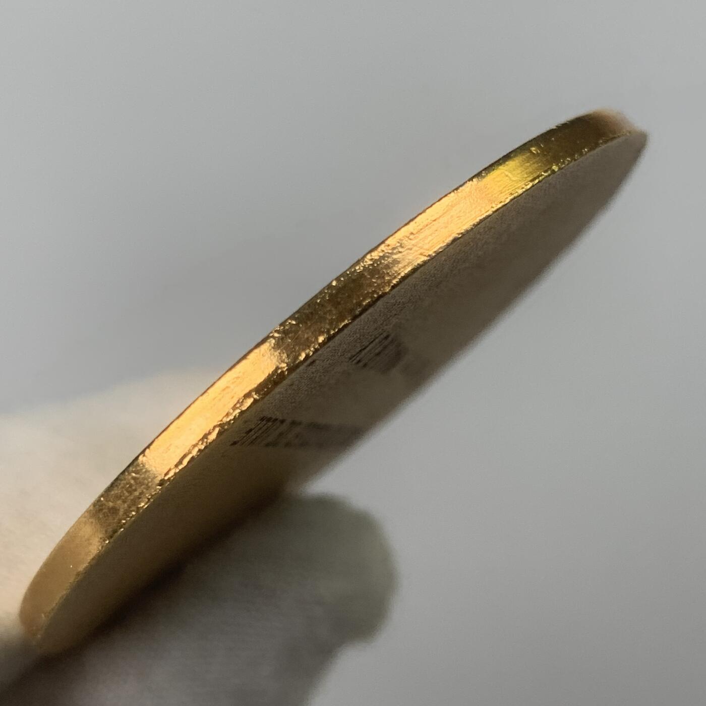 掌中浮雕-藏着的欧洲第059场 法国里尔学校基金会镀金奖章，50mm，25.7g