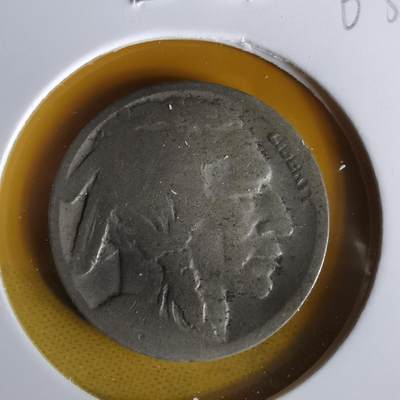 沼泽如烟--第1063场 - 美国野牛五分